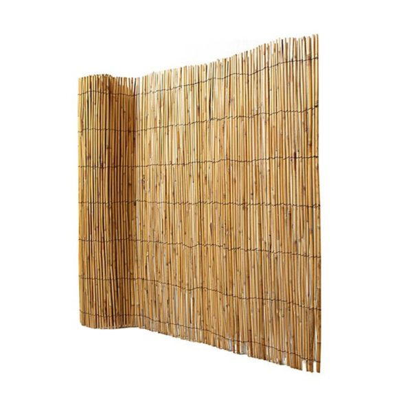 bambú